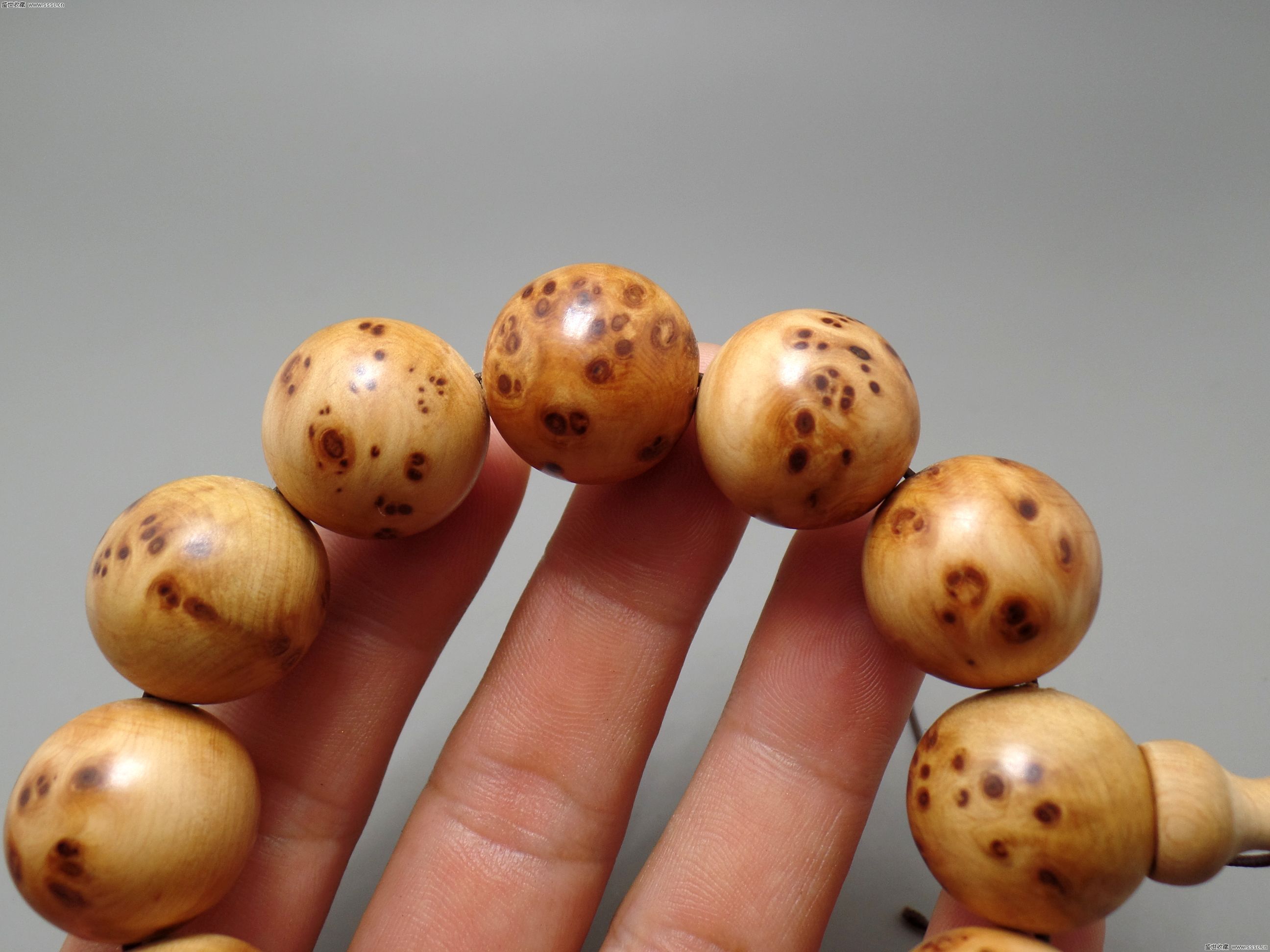 群邑研究显示:智能手机已成为国人新的“另一半”_太阳成集团tyc7111cc(图2) 太阳成集团tyc7111cc