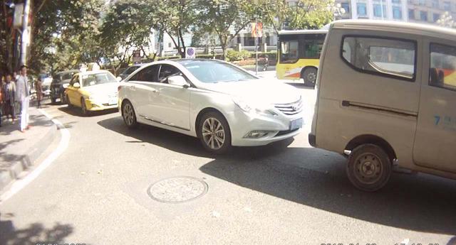 【太阳成集团tyc7111cc】广东送珍贵树苗下乡 增农民绿色财富(图2) 太阳成集团tyc7111cc