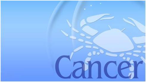 福建莆田藤竹木草制品出口连续稳增_太阳成集团tyc7111cc(图2) 太阳成集团tyc7111cc