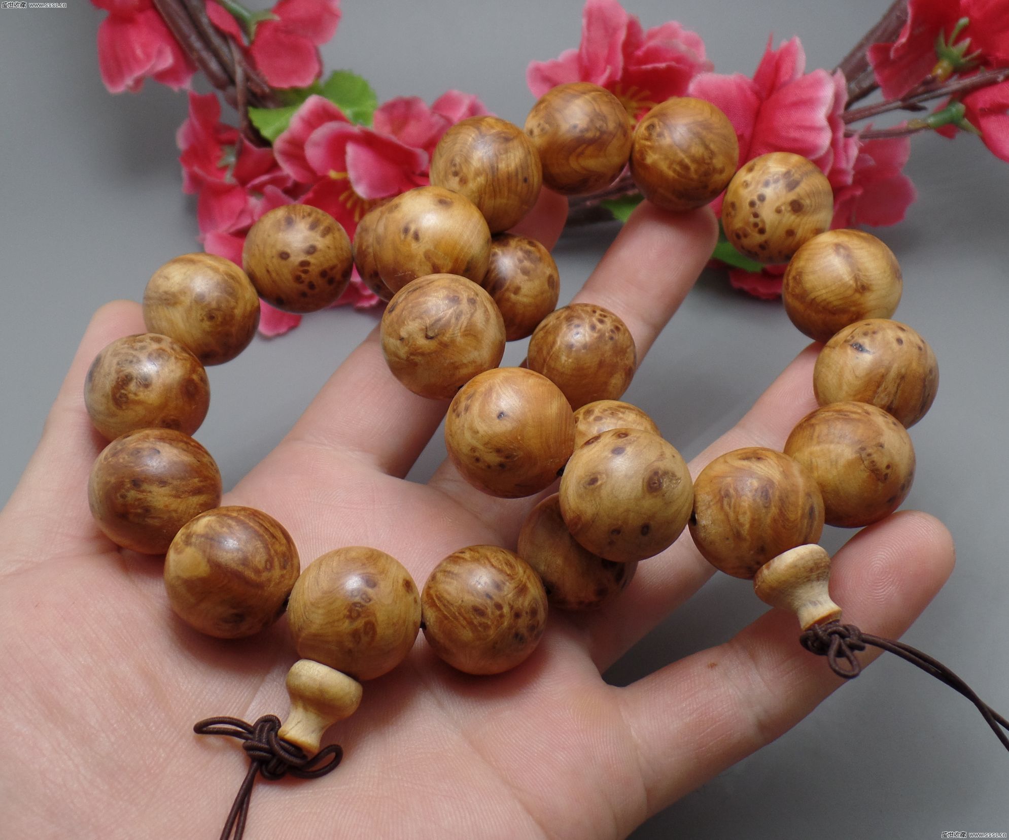 曝阿根廷世界杯名单剩3席 迪巴拉有戏二弟无望_太阳成集团tyc7111cc(图2) 太阳成集团tyc7111cc