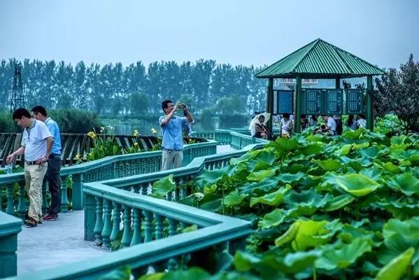 太阳成集团tyc7111cc