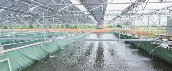 缅甸花梨10天涨价25%!东阳红木市场再现“疯狂的木头”!_太阳成集团tyc7111cc(图2) 太阳成集团tyc7111cc