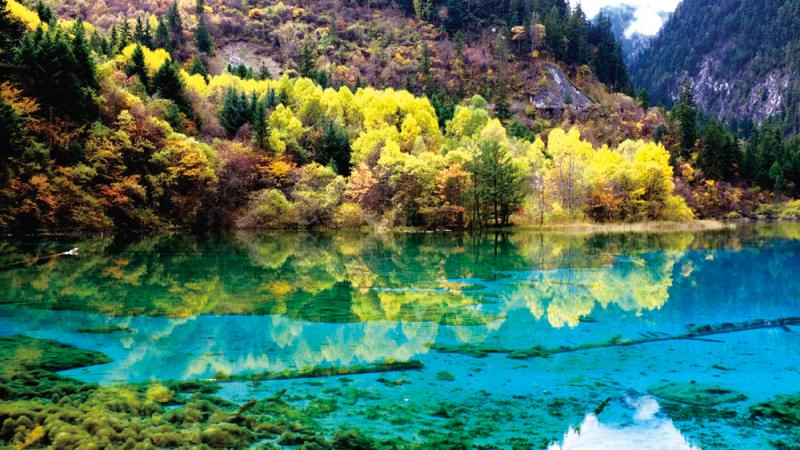 缅甸花梨10天涨价25%!东阳红木市场再现“疯狂的木头”!_太阳成集团tyc7111cc(图1) 太阳成集团tyc7111cc