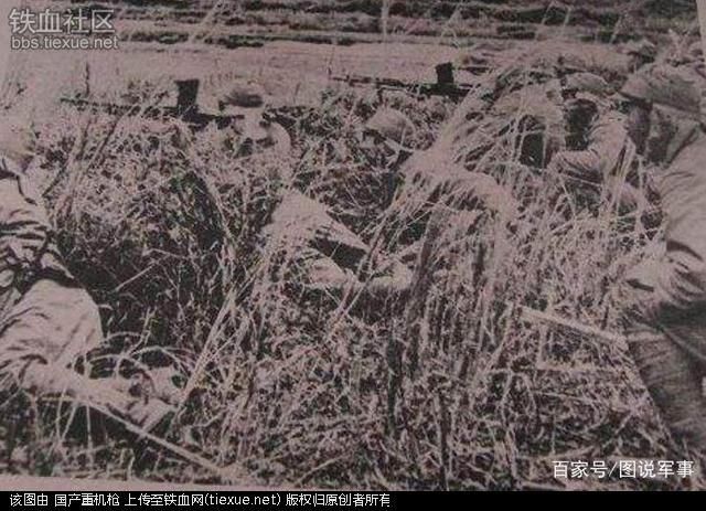 中南美洲市场的红木近三个月并没有波动“太阳成集团tyc7111cc”(图1) 太阳成集团tyc7111cc