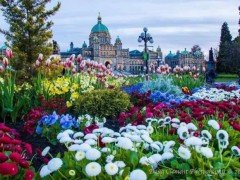 缅甸皆省两辆走私木材车辆被抓_太阳成集团tyc7111cc(图1) 太阳成集团tyc7111cc