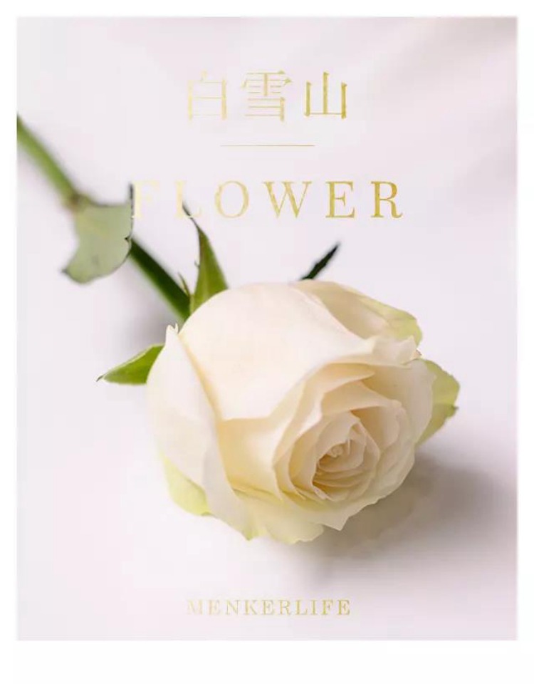 太阳成集团tyc7111cc:爱点击任命唐敏为首席营销官及中国区总裁,程序化营销领先地位再度加强(图2) 太阳成集团tyc7111cc