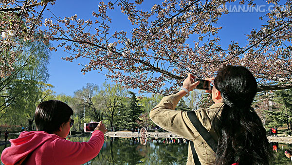 “太阳成集团tyc7111cc”特雷泽盖:C罗去尤文不是退步 决赛定金球归属(图1) 太阳成集团tyc7111cc