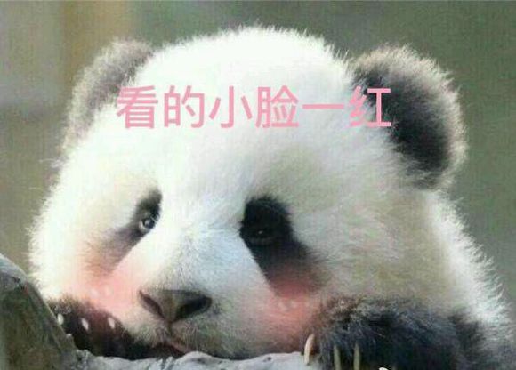 广告投放详细是怎么操作的呢:太阳成集团tyc7111cc(图1) 太阳成集团tyc7111cc