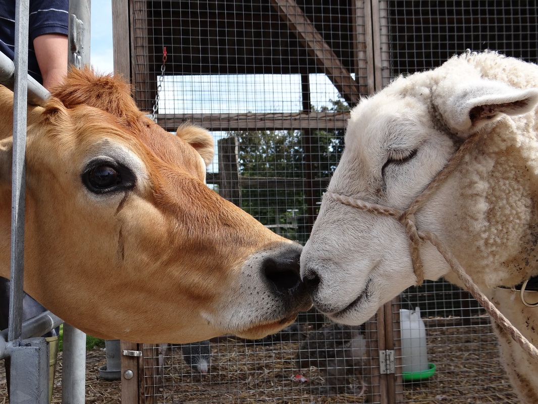 巴萨追蓝黑军团未来后卫真核 国米:他是非卖品:太阳成集团tyc7111cc(图1) 太阳成集团tyc7111cc