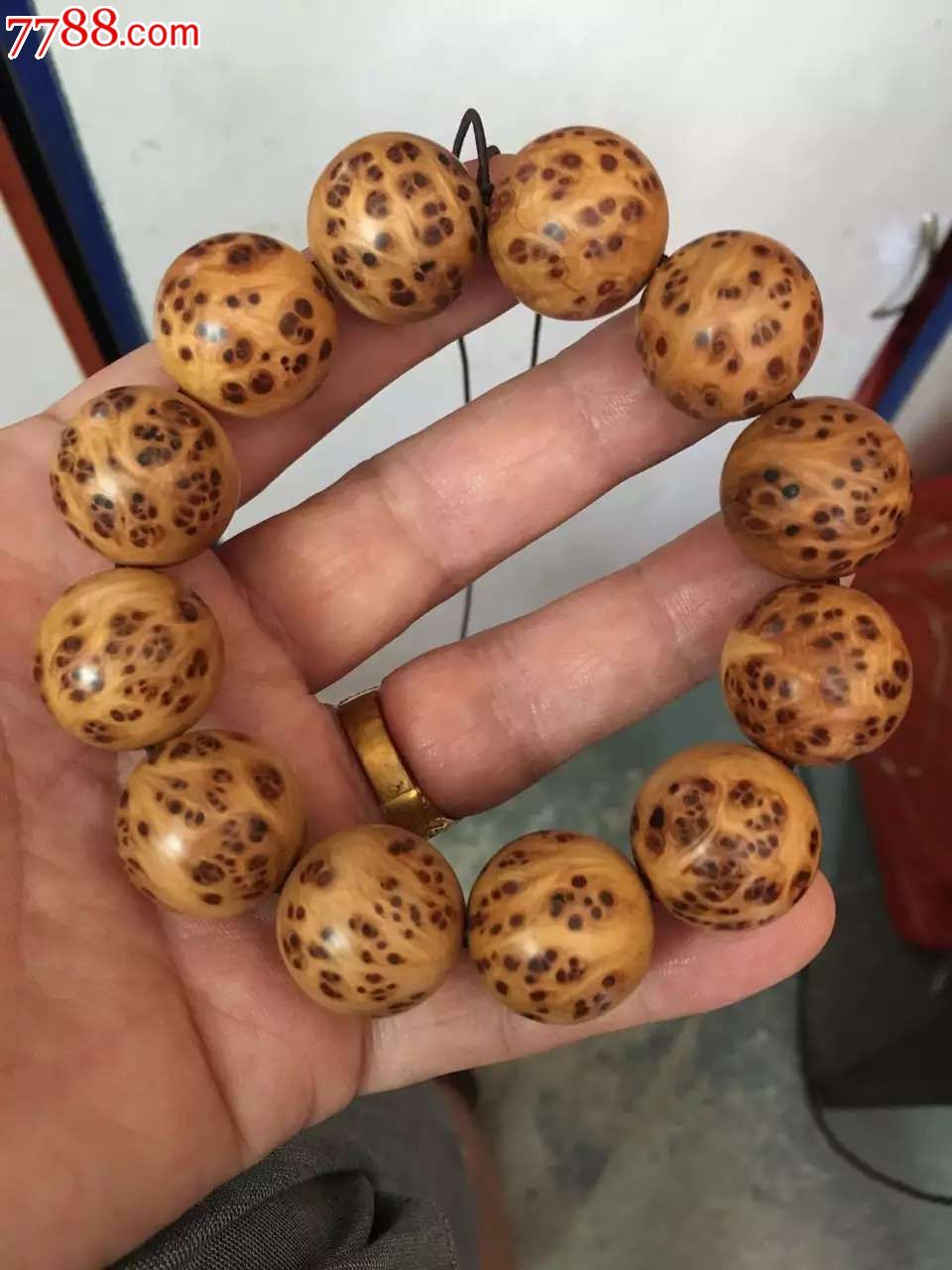 太阳成集团tyc7111cc