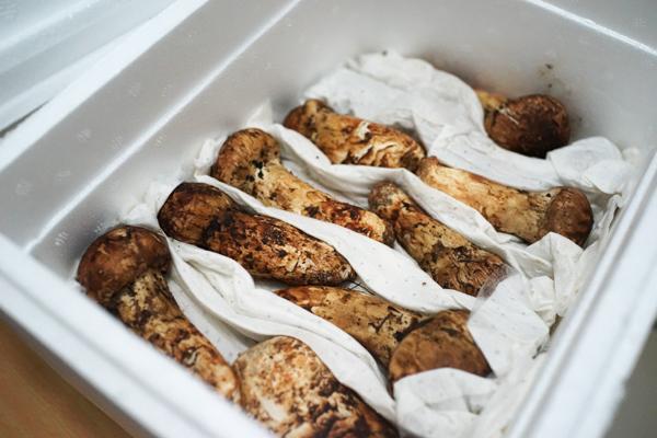 太阳成集团tyc7111cc