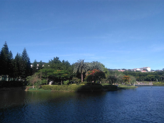 太阳成集团tyc7111cc|疫情带来的变现难题该如何应对?谷歌广告同盟为您支招(图1) 太阳成集团tyc7111cc