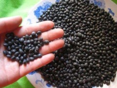 太阳成集团tyc7111cc