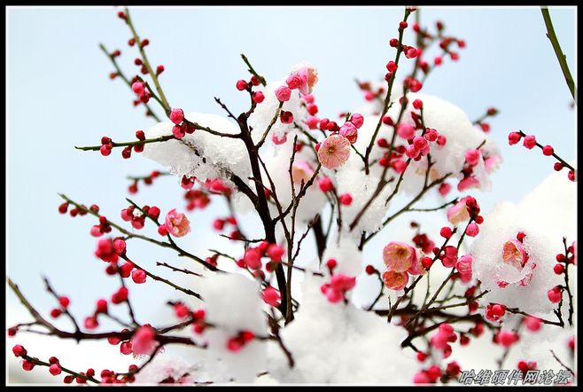 太阳成集团tyc7111cc