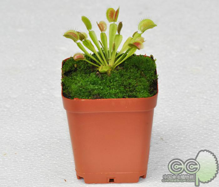 太阳成集团tyc7111cc