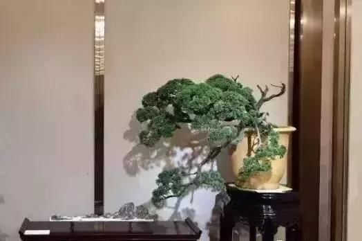 太阳成集团tyc7111cc