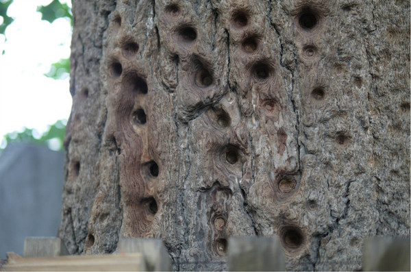 太阳成集团tyc7111cc