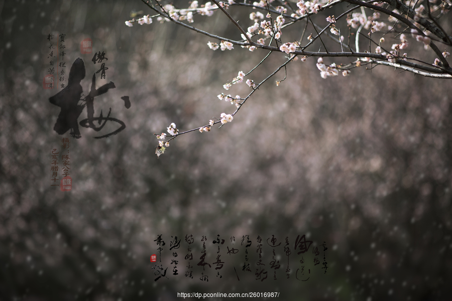 太阳成集团tyc7111cc