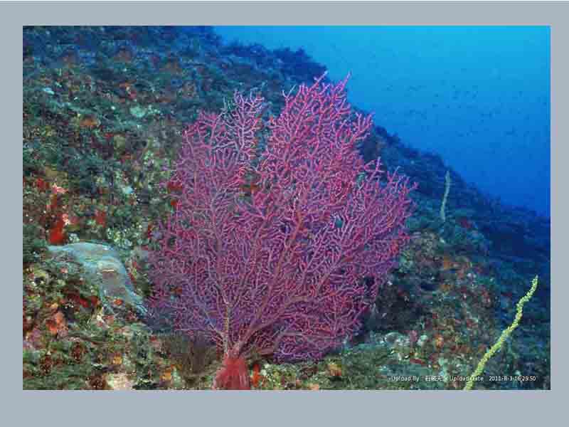 太阳成集团tyc7111cc