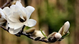 太阳成集团tyc7111cc