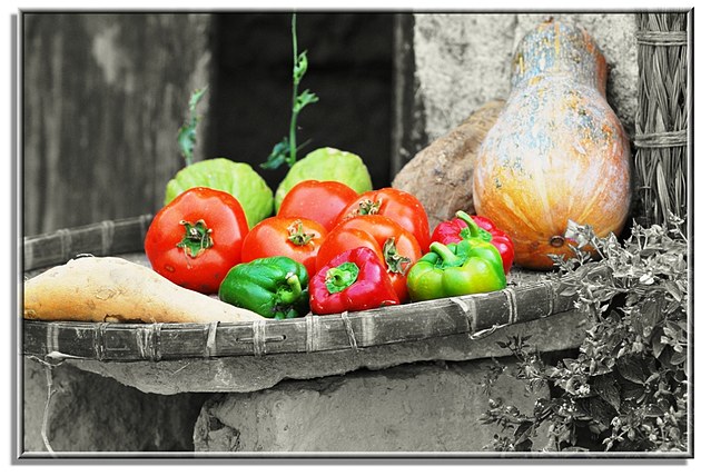 太阳成集团tyc7111cc