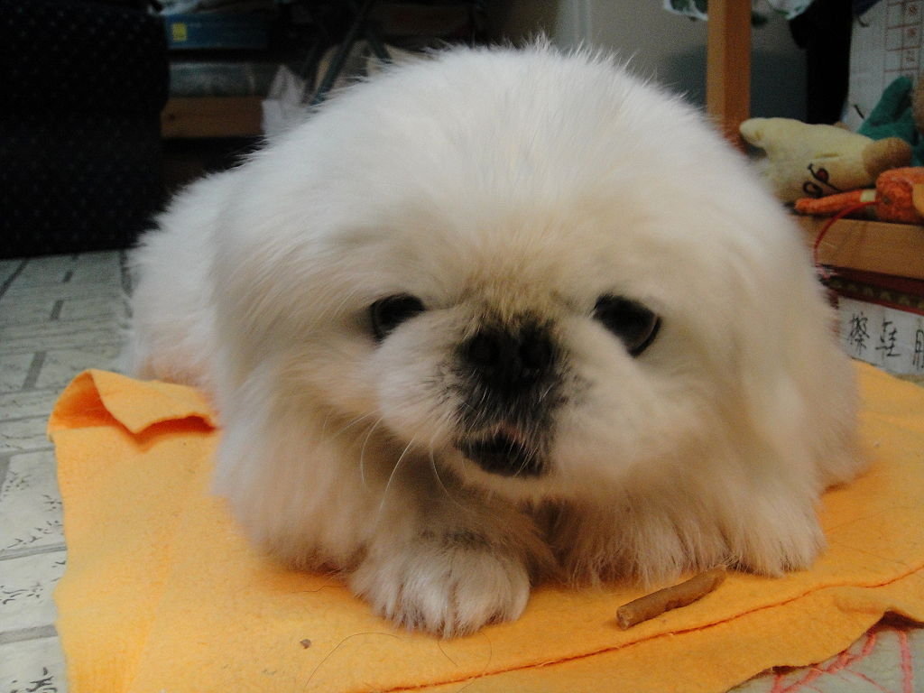 太阳成集团tyc7111cc