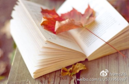 关于奶茶的文案_太阳成集团tyc7111cc(图2) 太阳成集团tyc7111cc