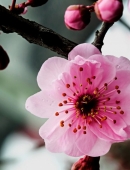 太阳成集团tyc7111cc