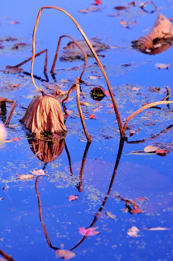 太阳成集团tyc7111cc