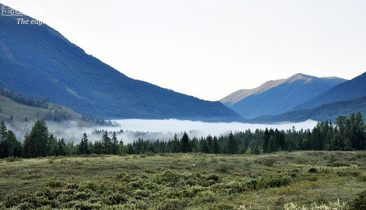 太阳成集团tyc7111cc