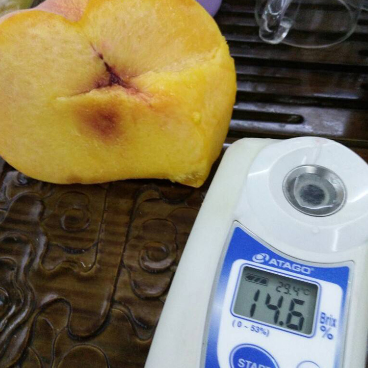 太阳成集团tyc7111cc