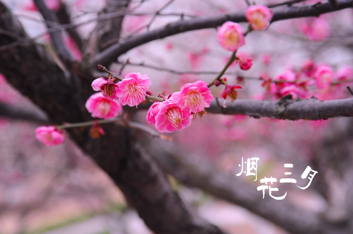 太阳成集团tyc7111cc