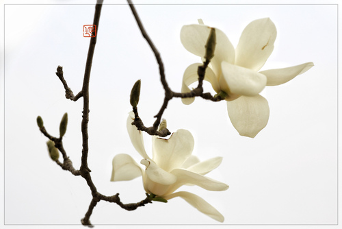 太阳成集团tyc7111cc