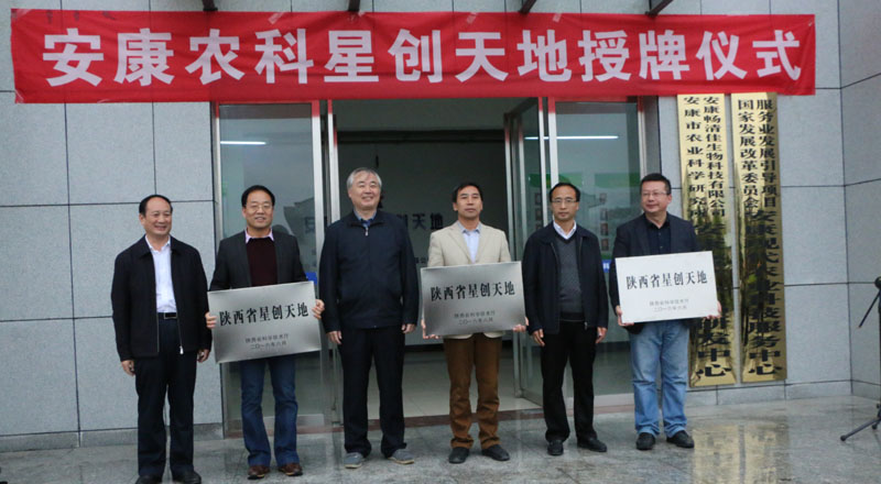 太阳成集团tyc7111cc