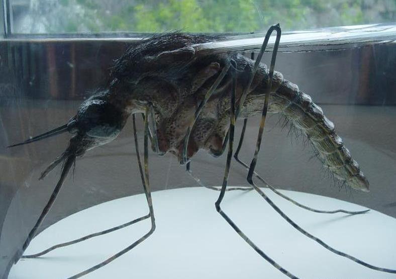 太阳成集团tyc7111cc