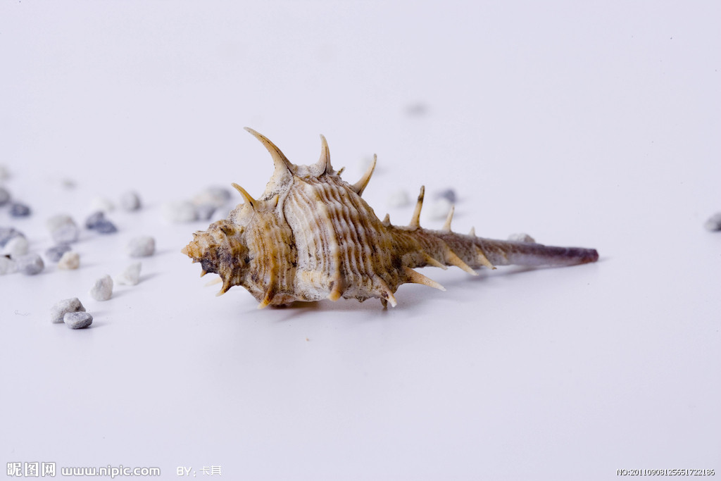 尤文宣布后防大将重伤 乌拉圭铁卫骨折赛季报销-太阳成集团tyc7111cc(图2) 太阳成集团tyc7111cc