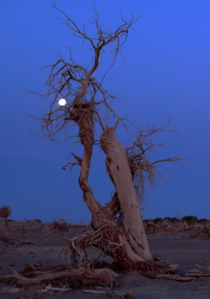 太阳成集团tyc7111cc