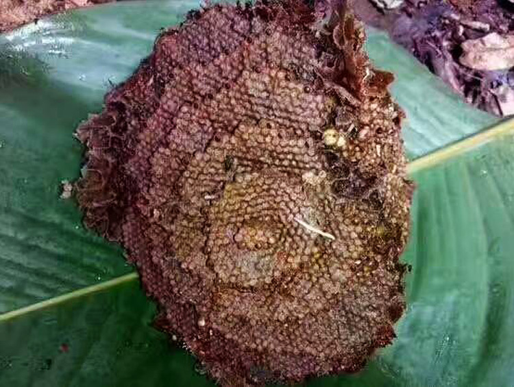 太阳成集团tyc7111cc|特写 | 上广告即是“上岸”?盘货历年3·15晚会前汽车广告(图2) 太阳成集团tyc7111cc