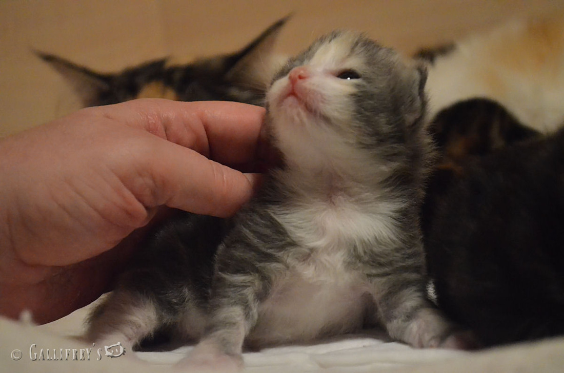 太阳成集团tyc7111cc:
2020年双十二优惠运动玩法攻略来了(图3) 太阳成集团tyc7111cc