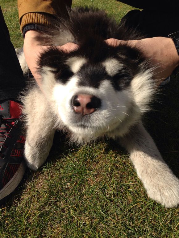 太阳成集团tyc7111cc