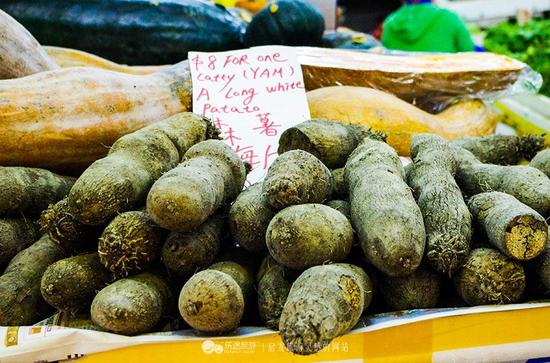 太阳成集团tyc7111cc