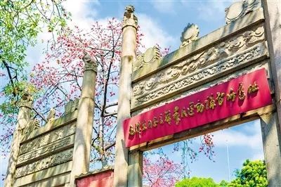 太阳成集团tyc7111cc